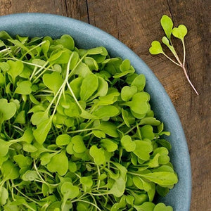 Seeds Arugula Microgreens: 3 oz Packet [HIGH MOWING #2010-QMG.2] T