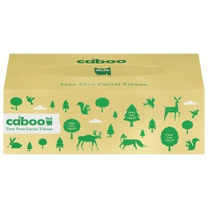 Caboo Flat Box,120 Count,3-Ply 12/1 Ct [UNFI #19105]