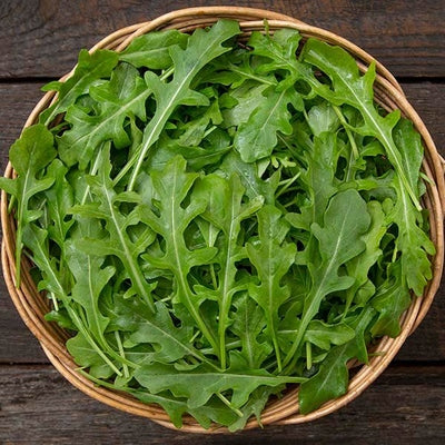 Seeds Bellezia Arugula: 1/32 oz Packet [HIGH MOWING #1947.1] T