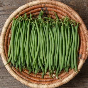 Seeds Compass Haricot Vert Bean: 100 Seed Packet [HIGH MOWING #2028.1] T