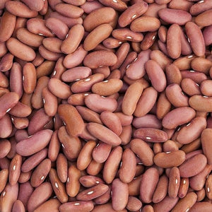 Seeds Light Red Kidney Dry Bean: 1 oz Packet [HIGH MOWING #2060.1] T