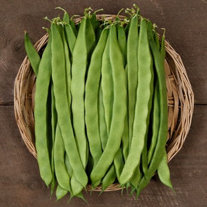 Seeds Northeaster Pole Bean: 1 oz Packet [HIGH MOWING #2156.1] T