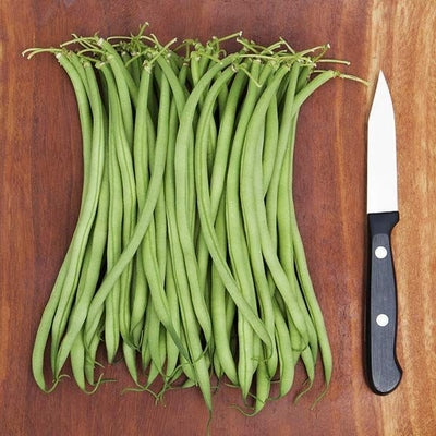 Seeds Maxibel Haricot Vert Bean: 1 oz Packet [HIGH MOWING #2200.1] T