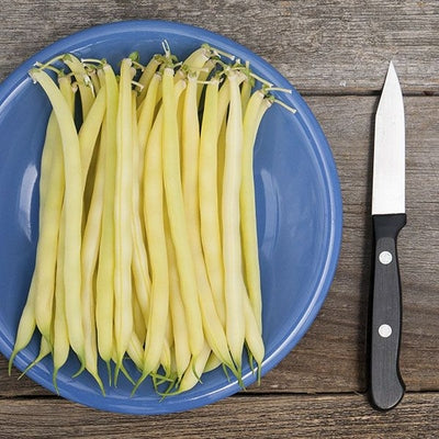 Seeds Gold Rush Yellow Wax Bean: 1 oz Packet [HIGH MOWING #2232.1] T