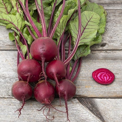 Seeds Shiraz Beet: 1/16 oz Packet [HIGH MOWING #2262.1] T