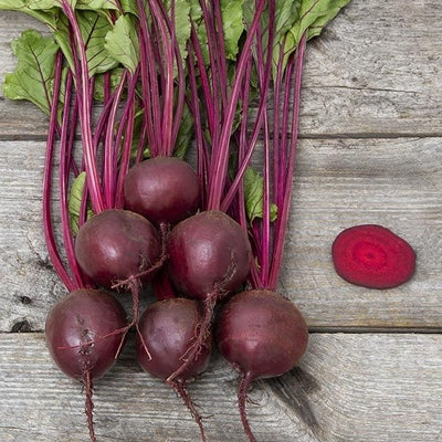 Seeds Boro F1 Beet: 100 Seed Packet [HIGH MOWING #2265.1] T