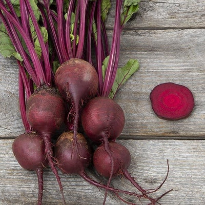 Seeds Detroit Dark Red Beet: 1/16 oz Packet [HIGH MOWING #2280.1] T