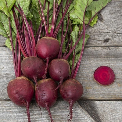 Seeds Red Ace F1 Beet: 100 Seed Packet [HIGH MOWING #2285.1] T