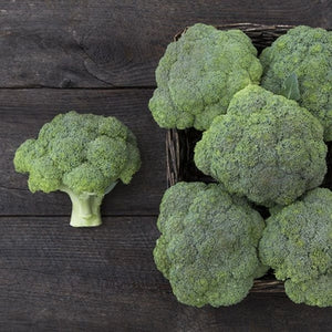 Seeds Belstar F1 Broccoli: 25 Seed Packet [HIGH MOWING #2302.1] T