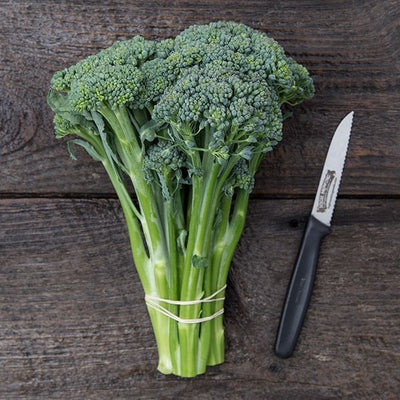 Seeds Waltham 29 Broccoli: 1/32 oz Packet [HIGH MOWING #2315.1] T