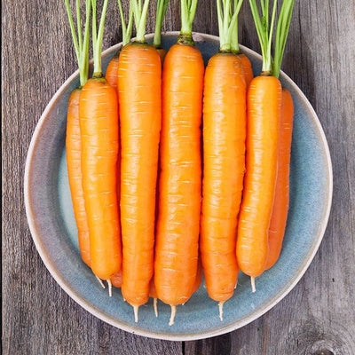 Seeds Napoli F1 Carrot: 250 Seed Packet [HIGH MOWING #2322.1] T