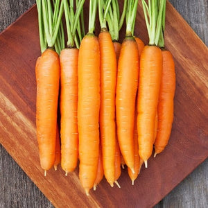 Seeds Dolciva Carrot: 250 Seed Packet [HIGH MOWING #2334.1] T