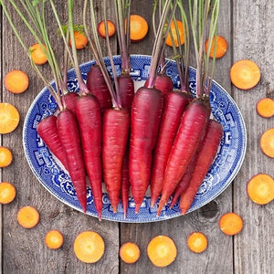 Seeds Cosmic Purple Carrot: 1/32 oz Packet [HIGH MOWING #2335.1] T