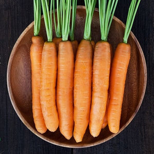 Seeds Yaya F1 Carrot: 250 Seed Packet [HIGH MOWING #2336.1] T