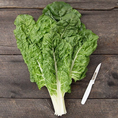 Seeds Fordhook Giant Chard: 1/16 oz Packet [HIGH MOWING #2343.1] T