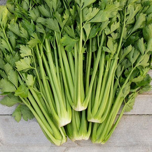 Seeds Tango Celery: 50 Seed Packet [HIGH MOWING #2344.2] T