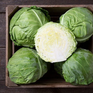 Seeds Tiara F1 Cabbage: 25 Seed Packet [HIGH MOWING #2348.1] T