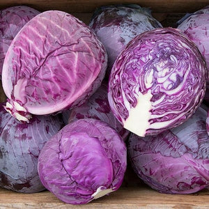 Seeds Red Express Cabbage: 1/32 oz Packet [HIGH MOWING #2369.1] T