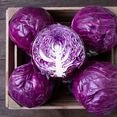 Seeds Amarant Cabbage: 25 Seed Packet [HIGH MOWING #2374.1] T