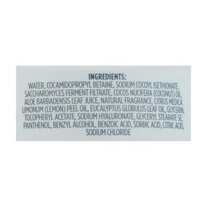 Kirks Hnd Sp Lem Euclypt 12 OZ [UNFI #14711]