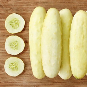 Seeds Silver Slicer Cucumber: 1/16 oz Packet [HIGH MOWING #2424.1] T