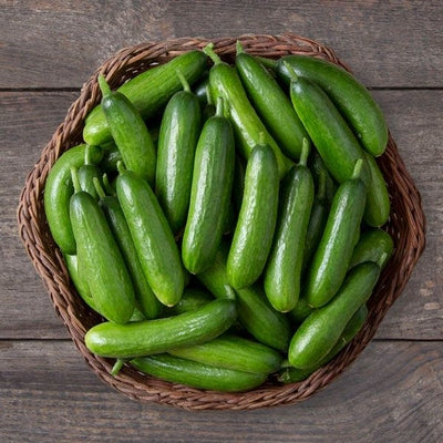 Seeds Minime F1 Cucumber: 10 Seed Packet [HIGH MOWING #2429.1] T