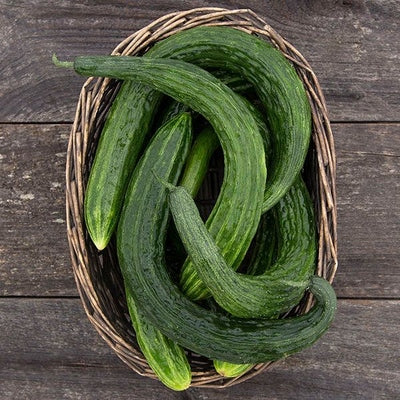 Seeds Suyo Long Cucumber: 1/16 oz Packet [HIGH MOWING #2435.1] T