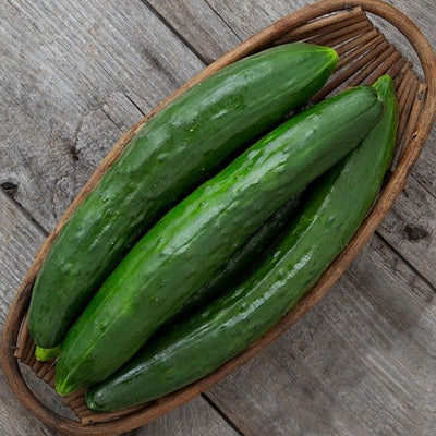 Seeds Shintokiwa Cucumber: 10 Seed Packet [HIGH MOWING #2437.1] T