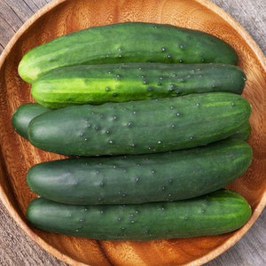 Seeds Marketmore 76 Cucumber: 1/16 oz Packet [HIGH MOWING #2440.1] T