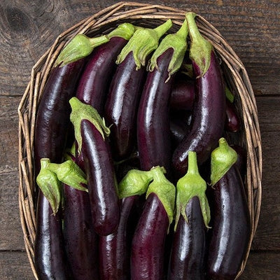 Seeds Little Finger Eggplant: 1/64 oz Packet [HIGH MOWING #2466.1] T