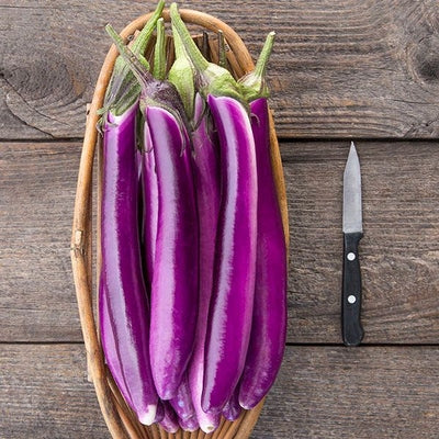 Seeds Ping Tung Long Eggplant: 1/64 oz Packet [HIGH MOWING #2467.1] T