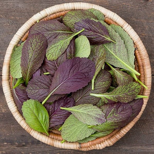 Seeds Garnet Giant Mustard Greens: 1/32 oz Packet [HIGH MOWING #2486.1] T