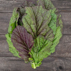 Seeds Red Giant Mustard Greens: 1/32 oz Packet [HIGH MOWING #2505.1] T