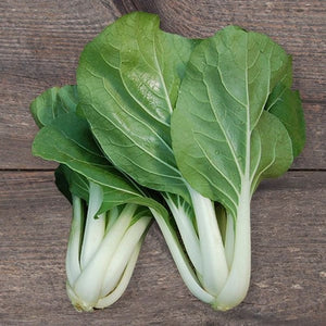 Seeds White Stemmed Pac Choy : 1/32 oz Packet [HIGH MOWING #2515.1] T