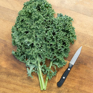 Seeds Vates Kale: 1/32 oz Packet [HIGH MOWING #2521.1] T