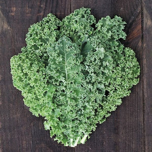 Seeds Meadowlark Kale: 50 Seed Packet [HIGH MOWING #2523.1] T