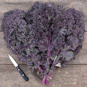 Seeds Scarlet Kale: 1/32 oz Packet [HIGH MOWING #2531.1] T