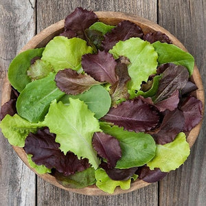 Seeds Yankee Hardy Blend Lettuce: 1/32 oz Packet [HIGH MOWING #2584.1] T