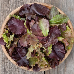 Seeds Red Planet Lettuce Blend: 1/32 oz Packet [HIGH MOWING #2585.1] T