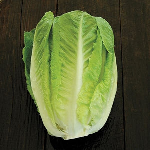 Seeds Green Towers Lettuce: 500 Seed Packet [HIGH MOWING #2586.1] T