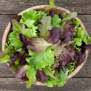 Seeds Dmr Salad Blend: 500 Seed Packet [HIGH MOWING #2615.1] T