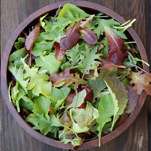 Seeds Mesclun Mix: 1/32 oz Packet [HIGH MOWING #2620.1] T