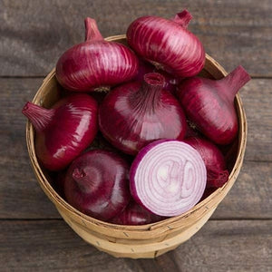 Seeds Red Geneva Cipollini Onion: 1/64 oz Packet [HIGH MOWING #2685.1] T