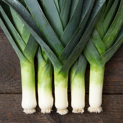 Seeds Tadorna Leek: 100 Seed Packet [HIGH MOWING #2694.1] T