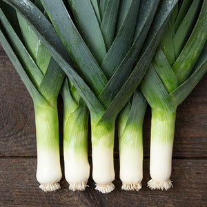 Seeds Tadorna Leek: 100 Seed Packet [HIGH MOWING #2694.1] T