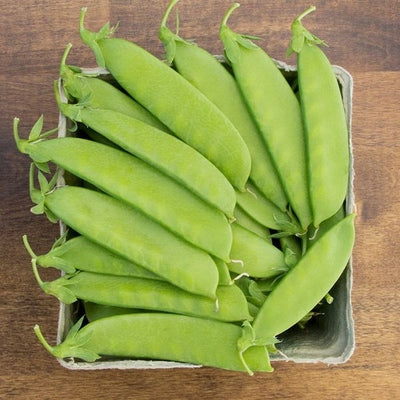 Seeds Mammoth Melting Snow Pea: 1 oz Packet [HIGH MOWING #2740.1] T