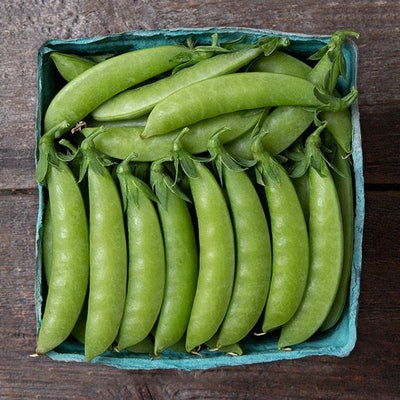 Seeds Sweet Gem Sugar Snap Pea: 1 oz Packet [HIGH MOWING #2761.1] T