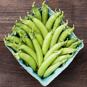 Seeds Cascadia Snap Pea: 1 oz Packet [HIGH MOWING #2762.1] T