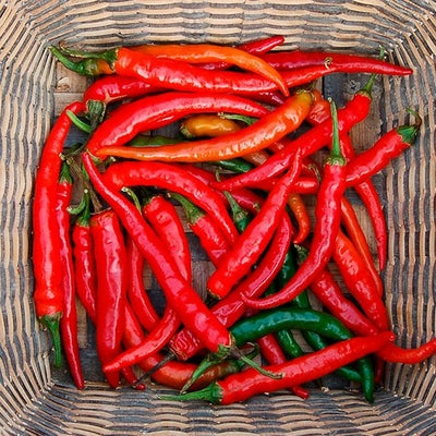 Seeds Ring-O-Fire Cayenne Pepper: 1/64 oz Packet [HIGH MOWING #2786.1] T