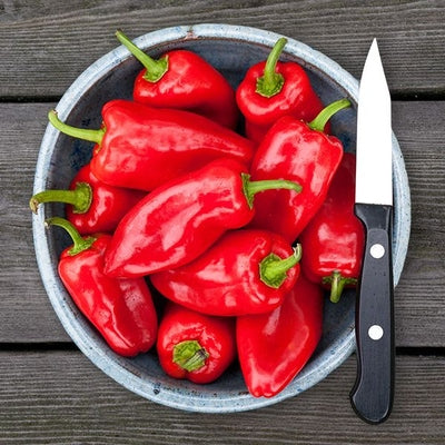 Seeds Hms Red Picnic Pepper: 10 Seed Packet [HIGH MOWING #2809.1] T